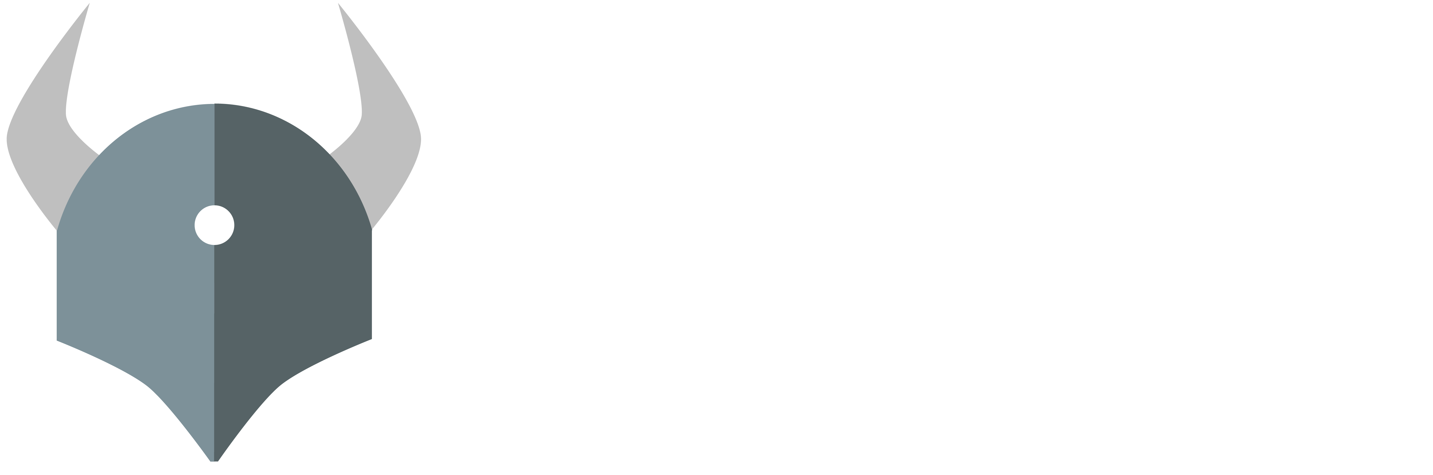 OPA Logo